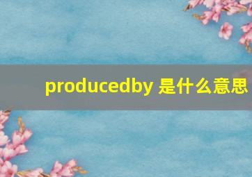 producedby 是什么意思